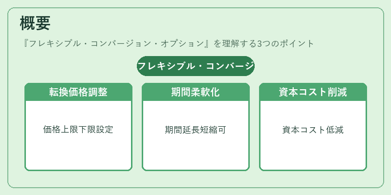 概要(フレキシブル・コンバージョン・オプション)の図解