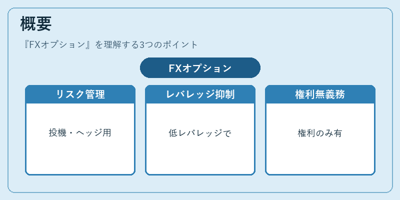 概要(FXオプション)の図解