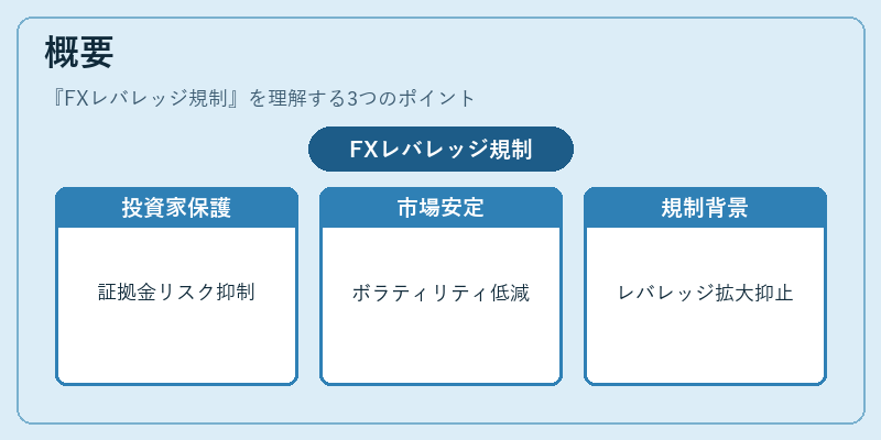概要(FXレバレッジ規制)の図解