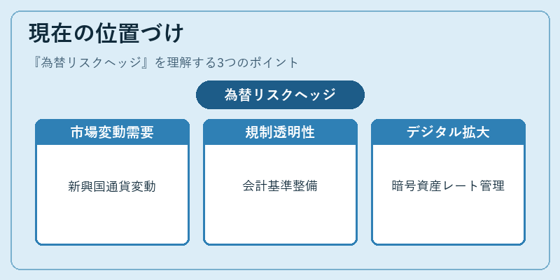 現在の位置づけ(為替リスクヘッジ)の図解