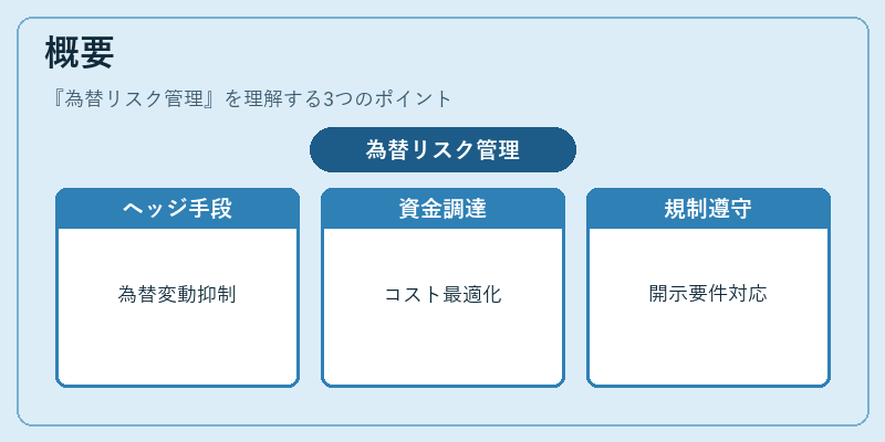 概要(為替リスク管理)の図解