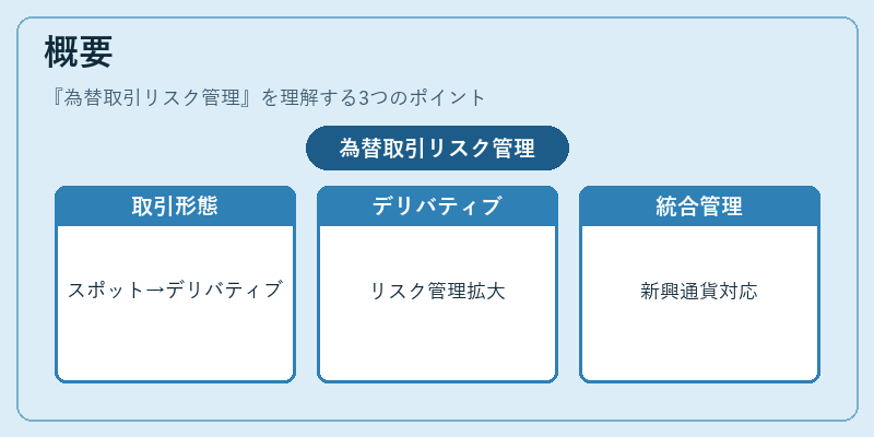 概要（為替取引リスク管理）の図解