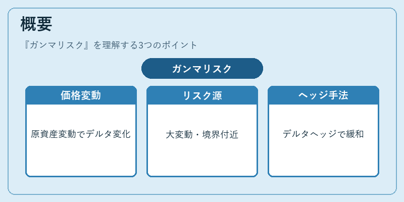 概要（ガンマリスク）の図解