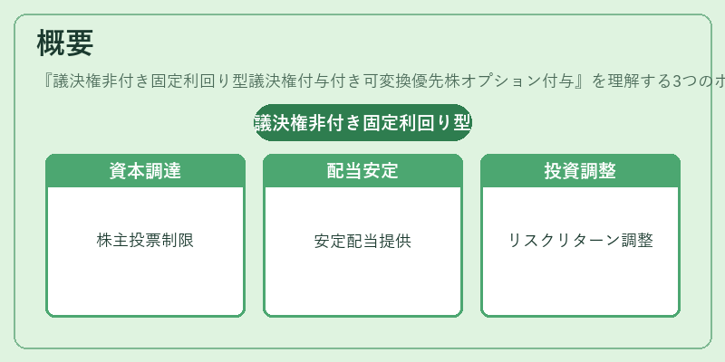 概要（議決権非付き固定利回り型議決権付与付き可変換優先株オプション付与）の図解