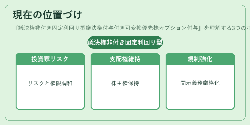 現在の位置づけ（議決権非付き固定利回り型議決権付与付き可変換優先株オプション付与）の図解