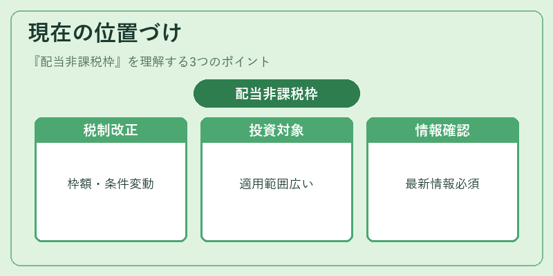 現在の位置づけ（配当非課税枠）の図解