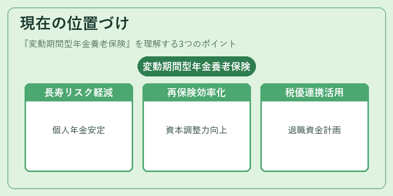 現在の位置づけ（変動期間型年金養老保険）の図解