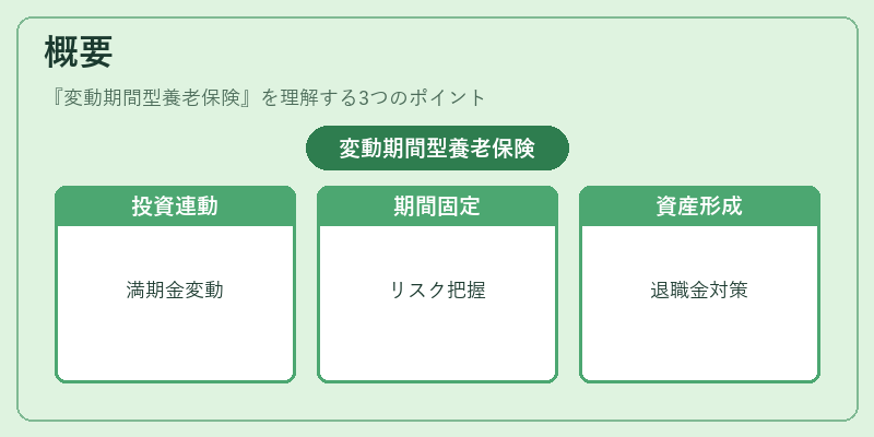 概要(変動期間型養老保険)の図解