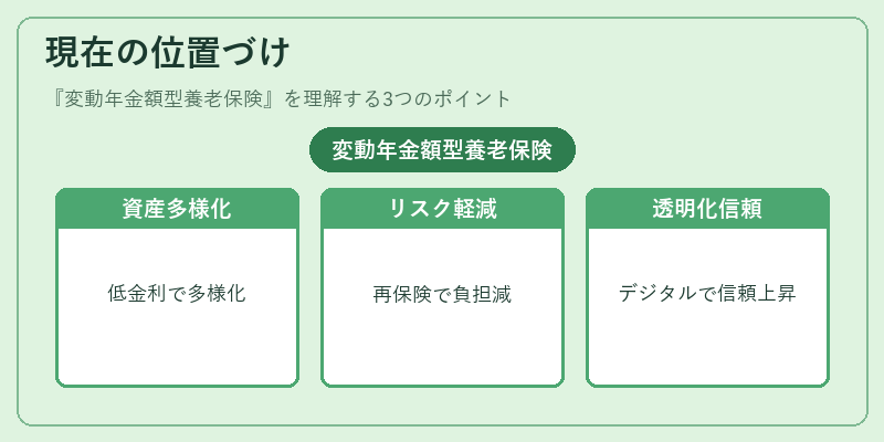 現在の位置づけ(変動年金額型養老保険)の図解