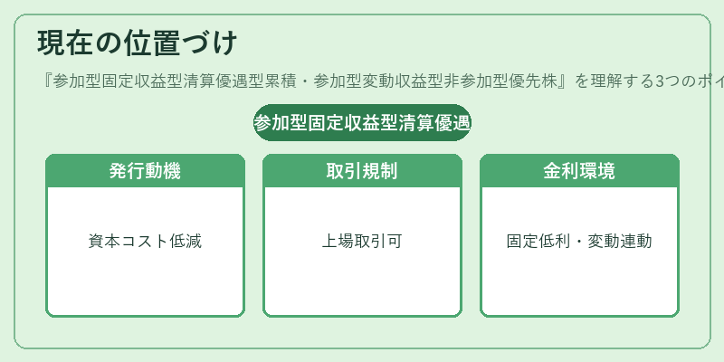 現在の位置づけ(参加型固定収益型清算優遇型累積・参加型変動収益型非参加型優先株)の図解