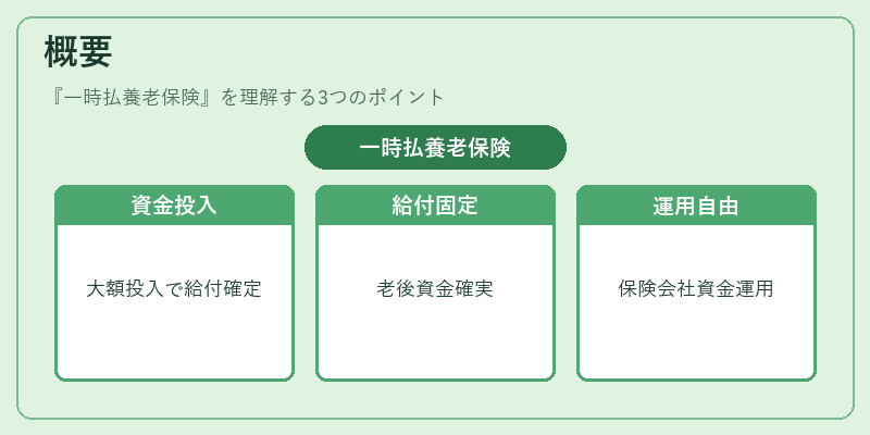 概要(一時払養老保険)の図解