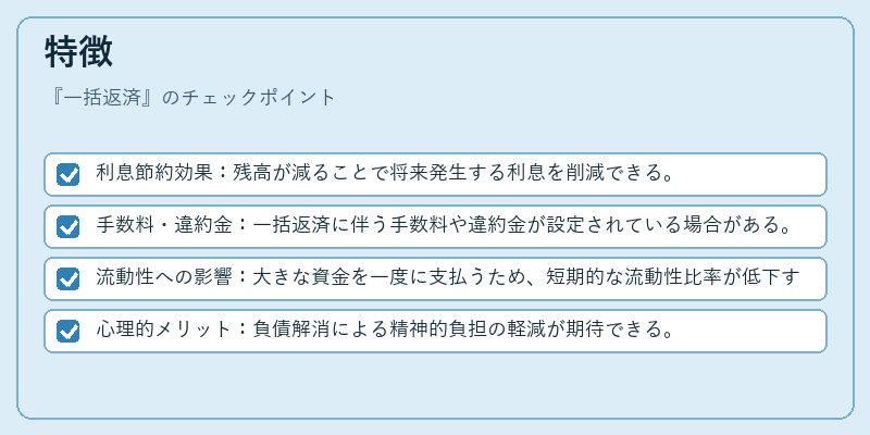 特徴（一括返済）の図解