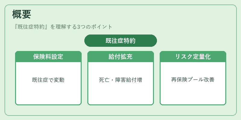概要(既往症特約)の図解