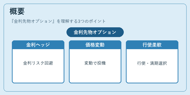 概要（金利先物オプション）の図解