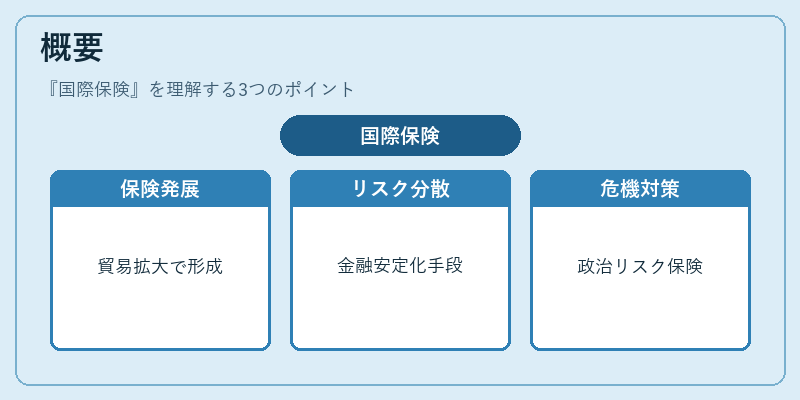 概要（国際保険）の図解