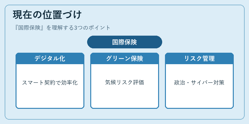 現在の位置づけ（国際保険）の図解