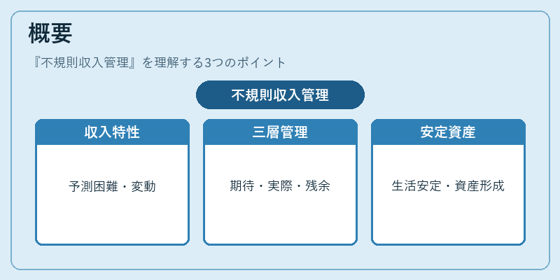 概要（不規則収入管理）の図解