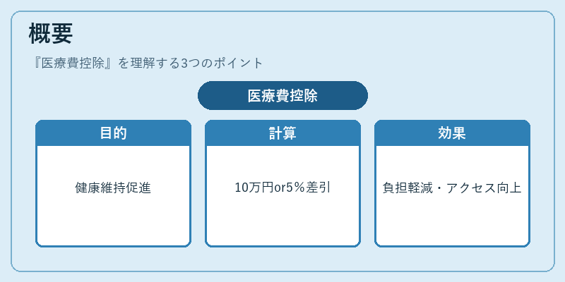 概要（医療費控除）の図解