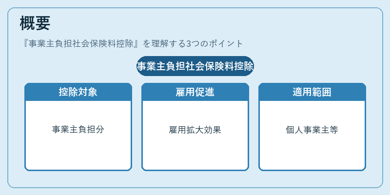 概要（事業主負担社会保険料控除）の図解