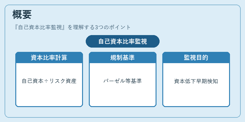 概要（自己資本比率監視）の図解