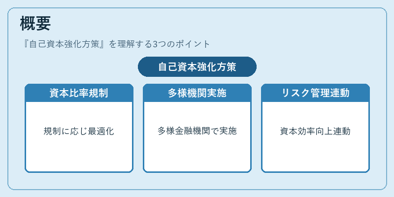 概要（自己資本強化方策）の図解