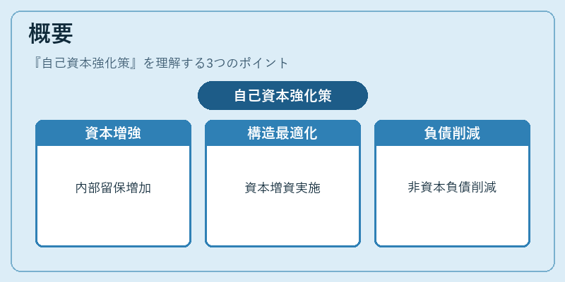 概要（自己資本強化策）の図解