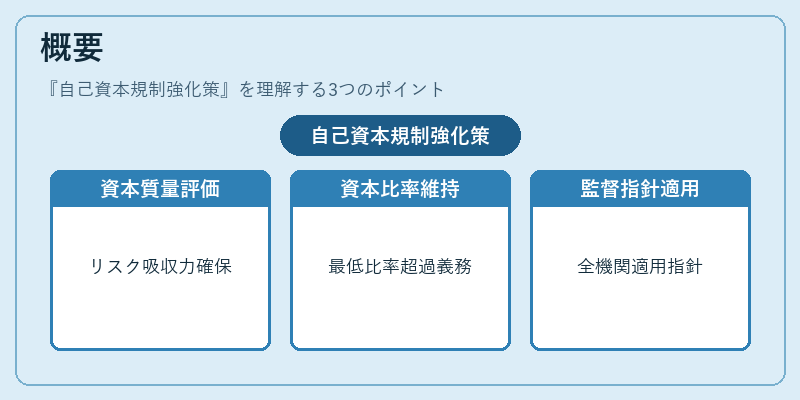 概要（自己資本規制強化策）の図解