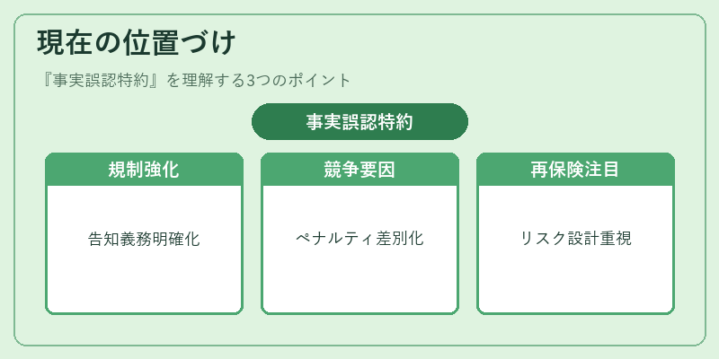 現在の位置づけ（事実誤認特約）の図解
