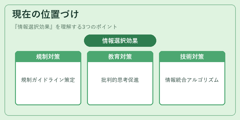 現在の位置づけ（情報選択効果）の図解