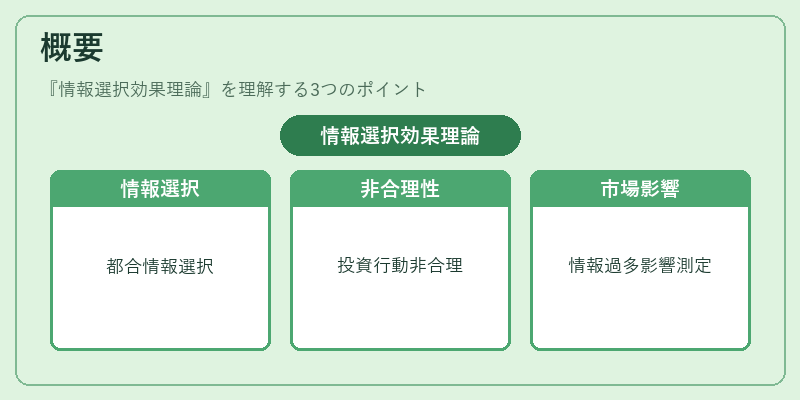 概要（情報選択効果理論）の図解