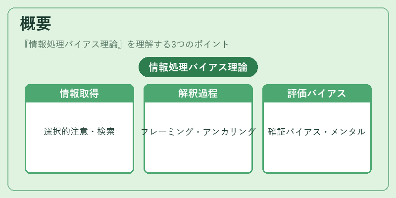 概要（情報処理バイアス理論）の図解