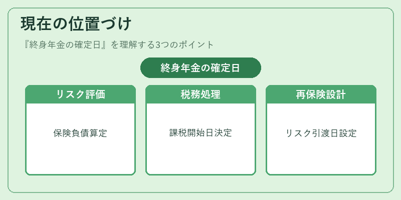 現在の位置づけ（終身年金の確定日）の図解