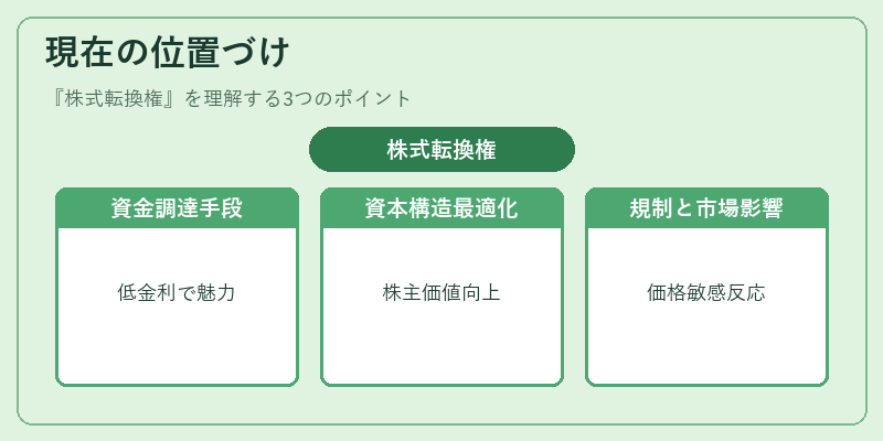 現在の位置づけ(株式転換権)の図解