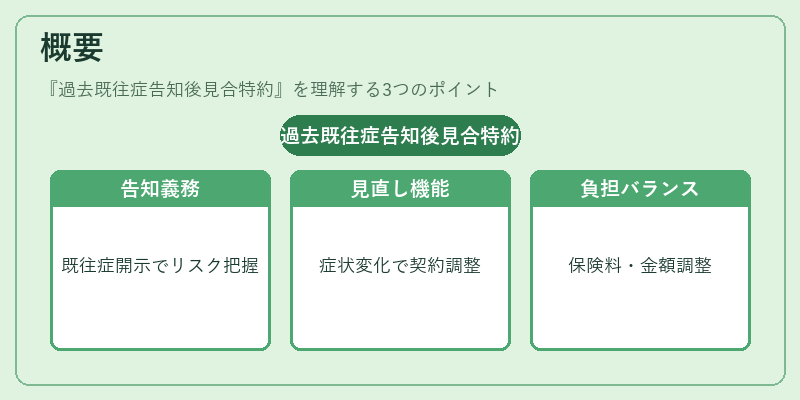 概要（過去既往症告知後見合特約）の図解