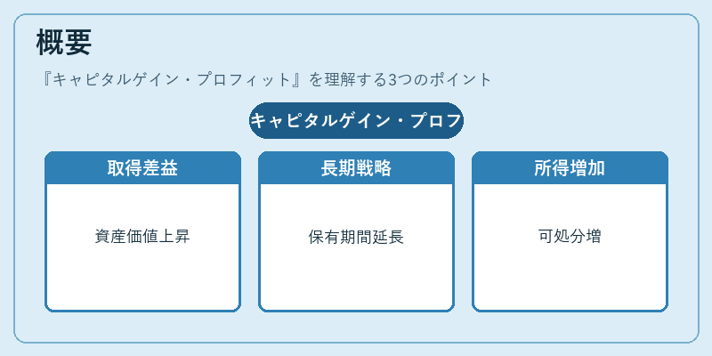 概要（キャピタルゲイン・プロフィット）の図解