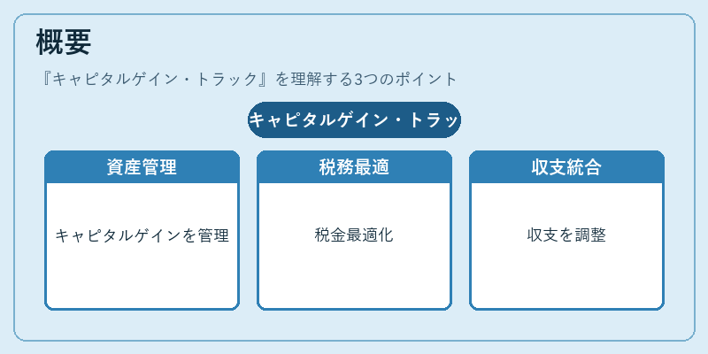 概要（キャピタルゲイン・トラック）の図解