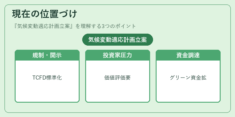 現在の位置づけ（気候変動適応計画立案）の図解