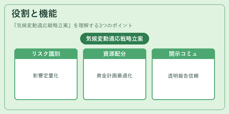 役割と機能（気候変動適応戦略立案）の図解