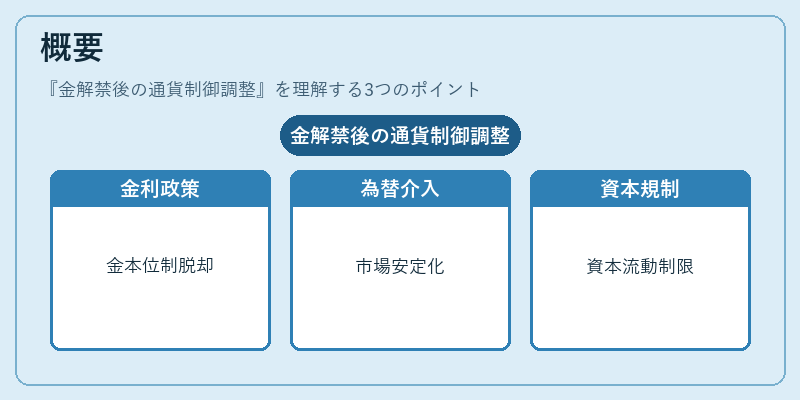 概要（金解禁後の通貨制御調整）の図解