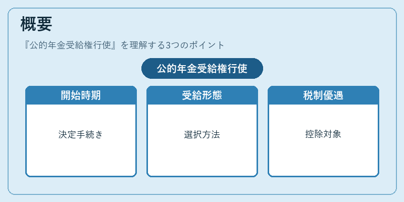 概要(公的年金受給権行使)の図解