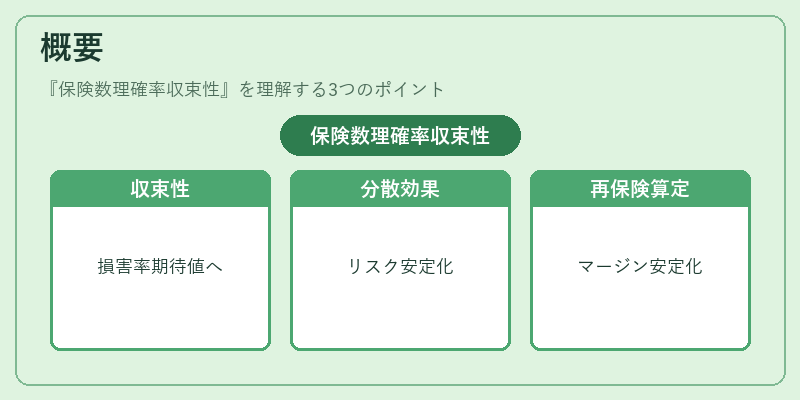概要（保険数理確率収束性）の図解