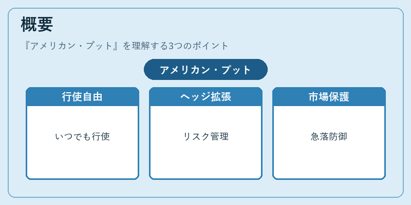 概要（アメリカン・プット）の図解