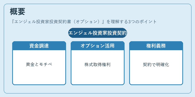 概要（エンジェル投資家投資契約書（オプション））の図解