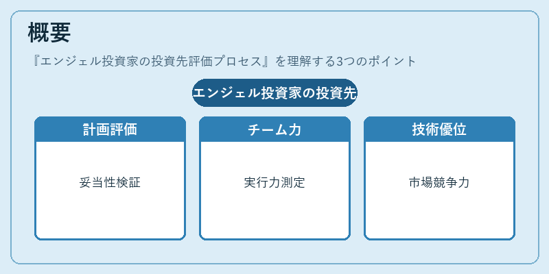 概要（エンジェル投資家の投資先評価プロセス）の図解