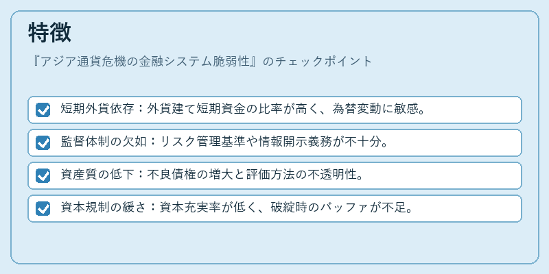 特徴（アジア通貨危機の金融システム脆弱性）の図解