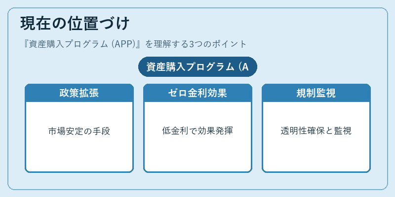 現在の位置づけ(資産購入プログラム (APP))の図解