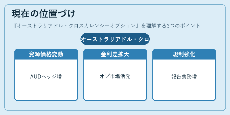 現在の位置づけ（オーストラリアドル・クロスカレンシーオプション）の図解
