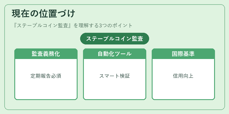 現在の位置づけ(ステーブルコイン監査)の図解