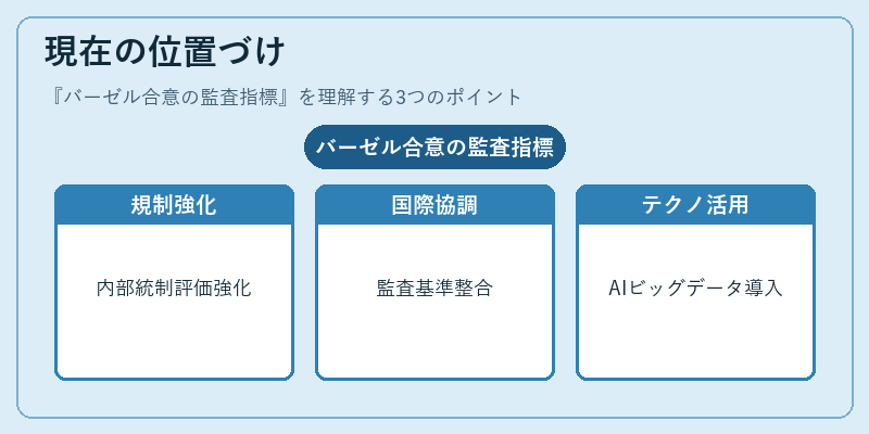 現在の位置づけ（バーゼル合意の監査指標）の図解