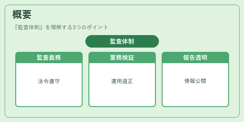 概要(監査体制)の図解